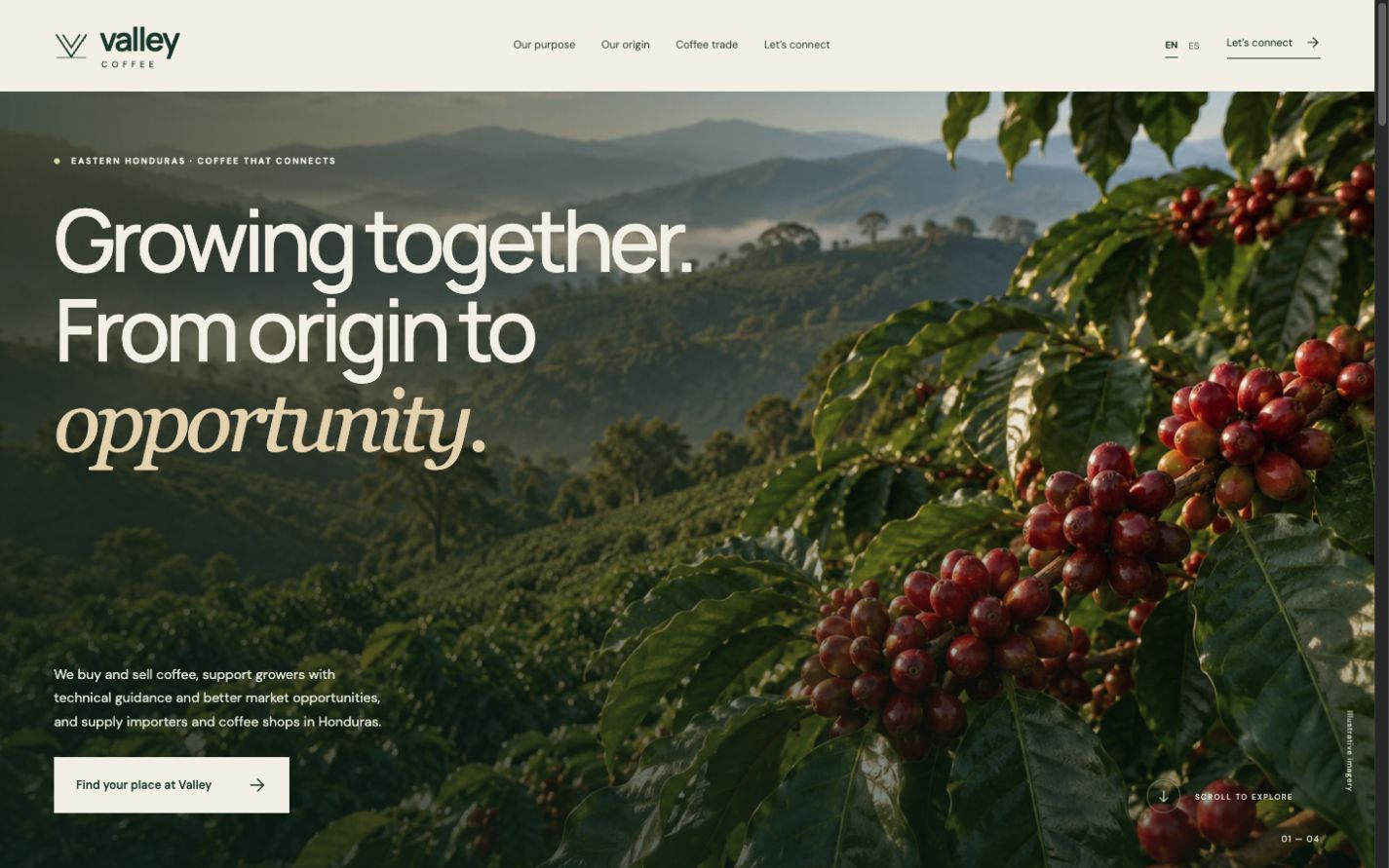 Valley Coffee project preview